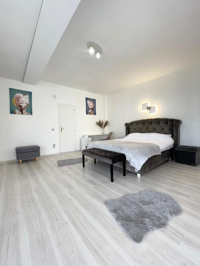 Panoramic Studio Leilighet Cluj-Napoca Eksteriør bilde