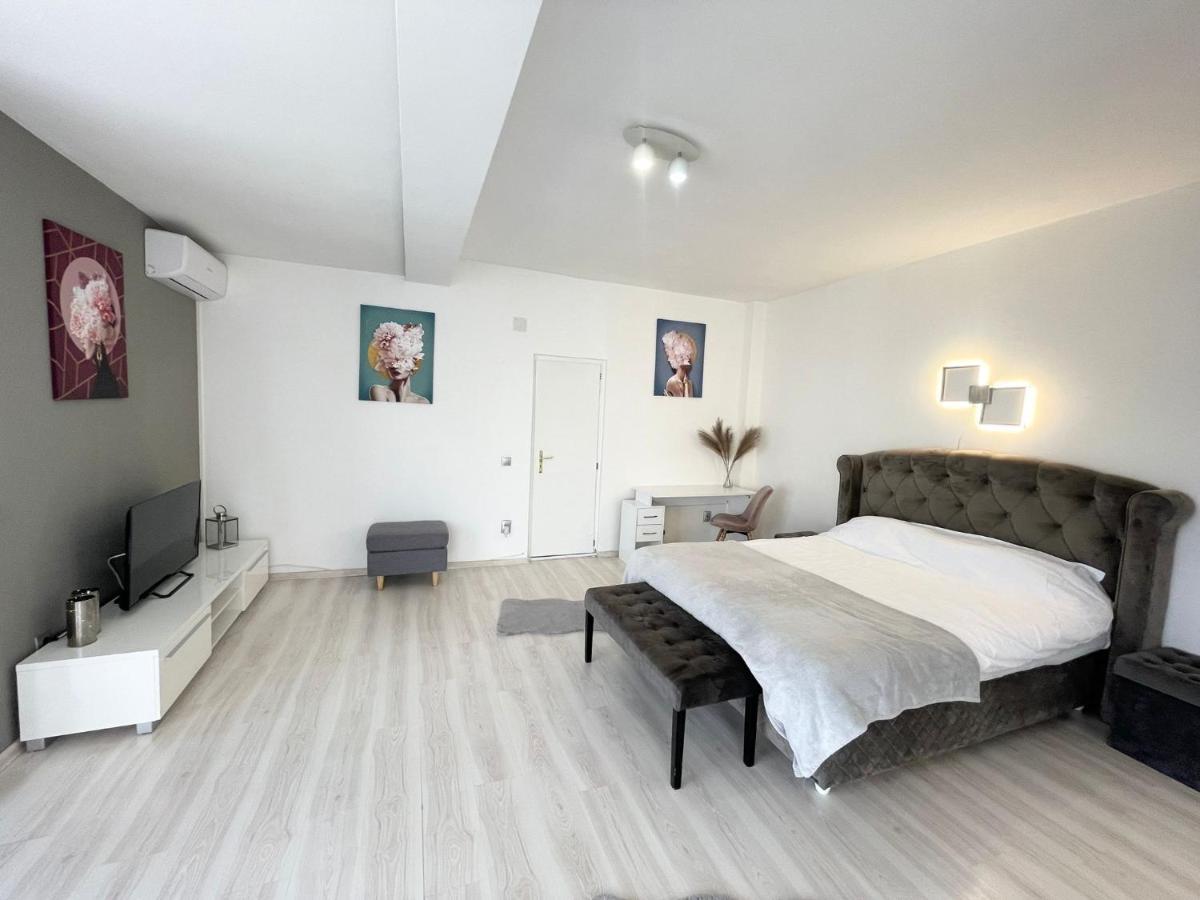 Panoramic Studio Leilighet Cluj-Napoca Eksteriør bilde